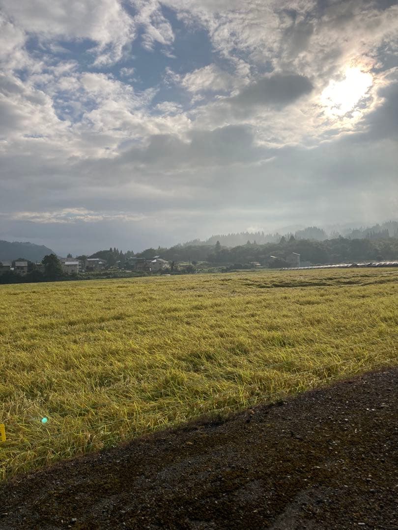 令和7年産魚沼コシヒカリ　精米10kg