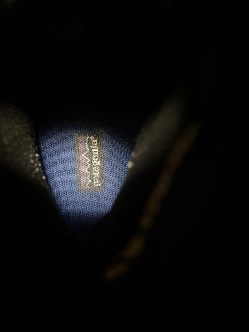 PatagoniaパタゴニアブーツDas Boot Waterproof Mid