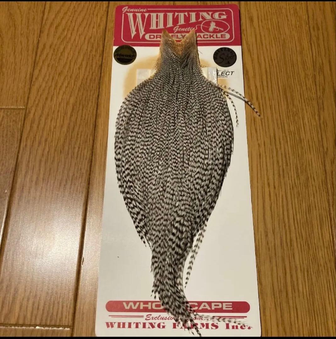 ☆ホワイティング　ドライフライハックル　グリズリー☆