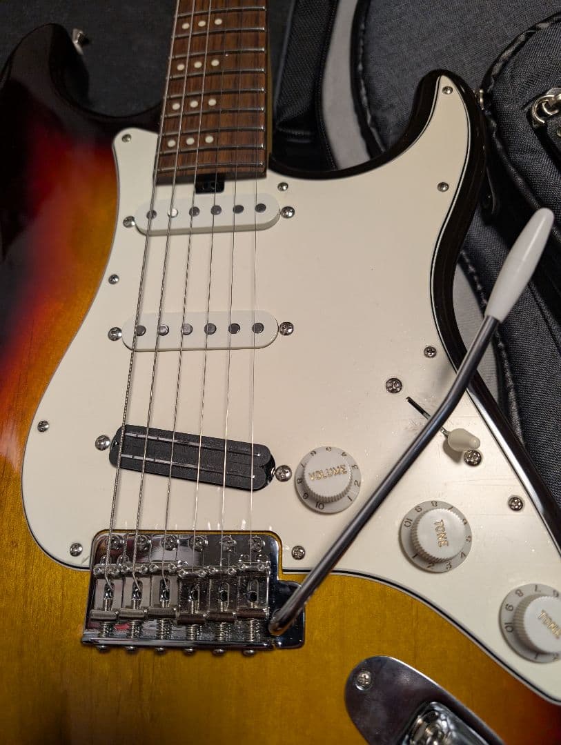 Three Dots Guitars s ケース付　オーダーピックガード付