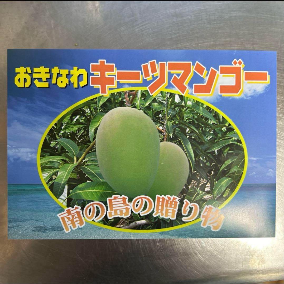 <ご家庭用/訳あり>ミニキーツマンゴー4kg ★沖縄県産★F