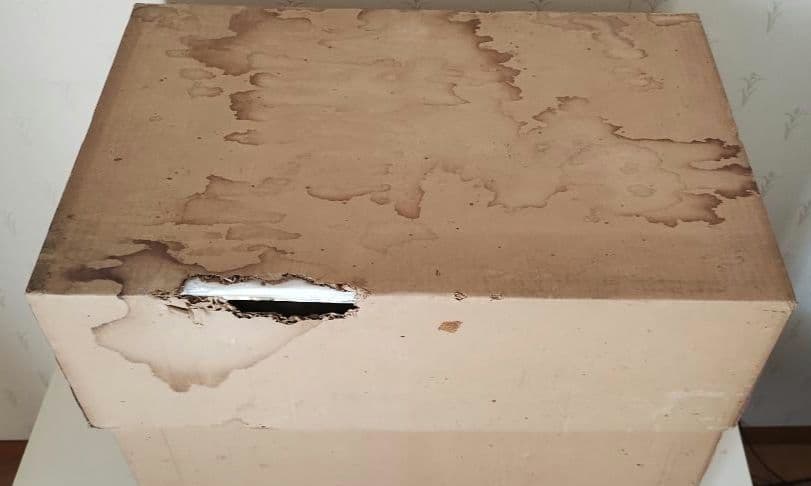 市松人形 「つづみ」ガラスケース入り　わらべ人形　明日香人形　8号