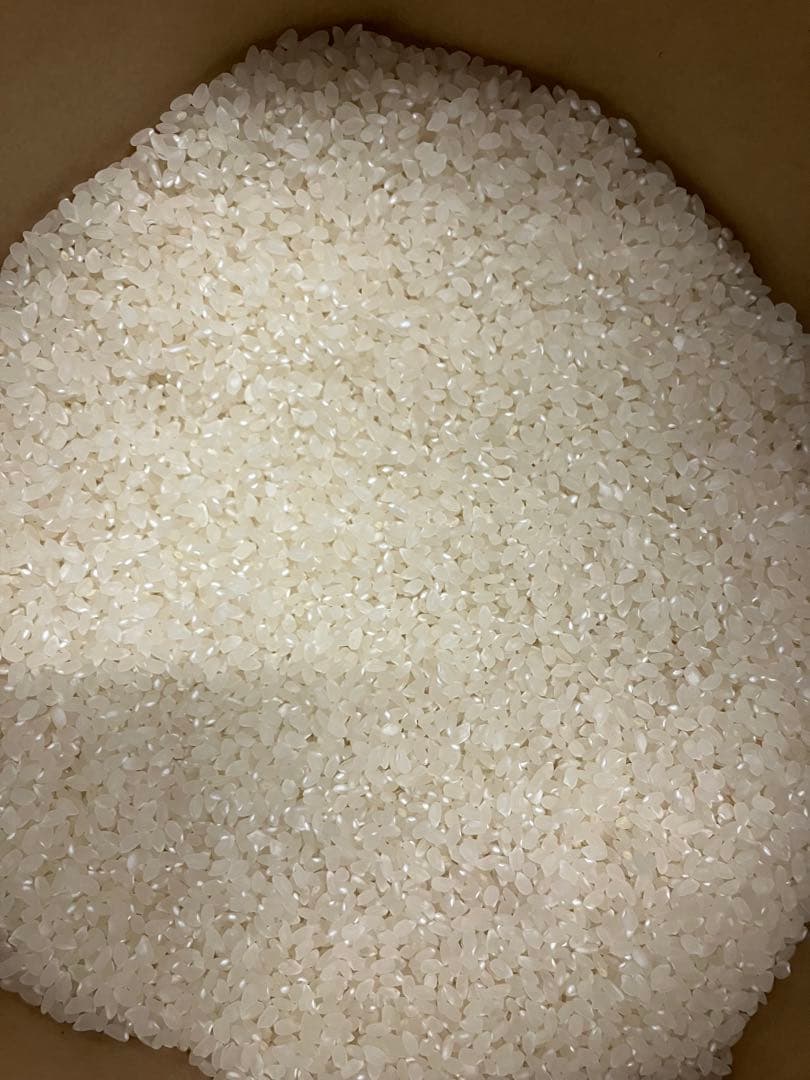 令和7年産　　魚沼産コシヒカリ100% 白米　10kg