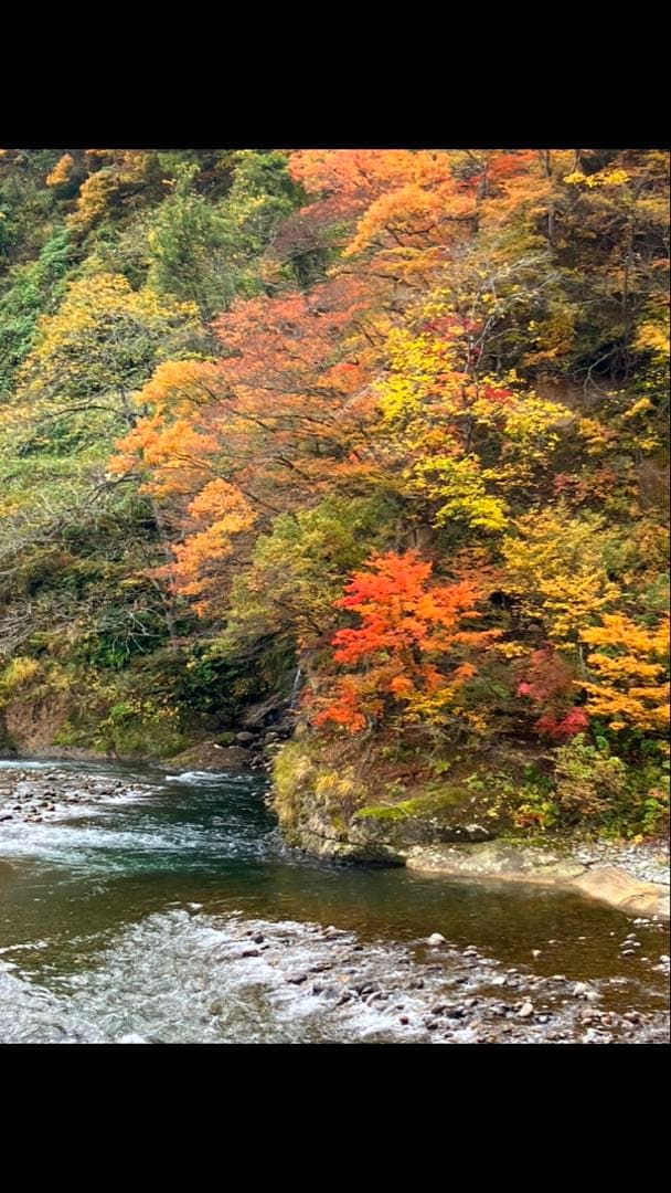 令和7年産　　魚沼産コシヒカリ100% 白米　10kg