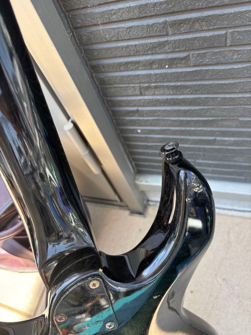 Black Dog by Aria pro Ⅱ