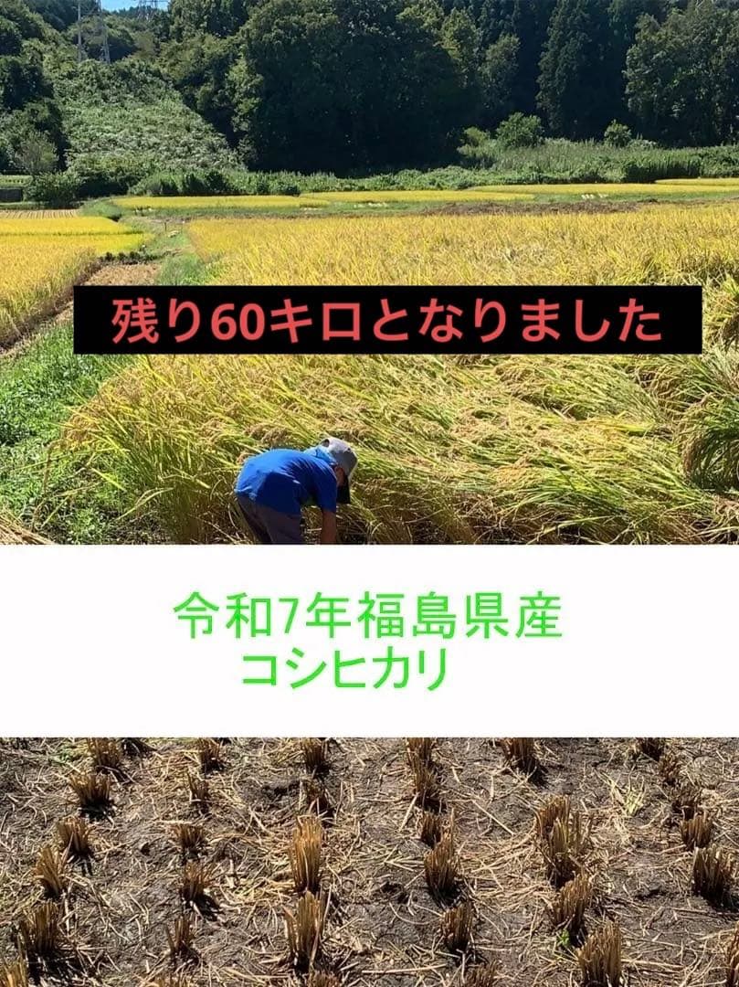 令和7年 福島県産 コシヒカリ