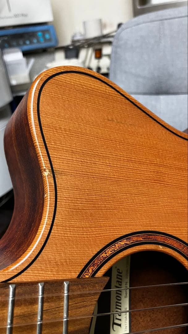 Lag Tramontane TN170ACE エレガットギター