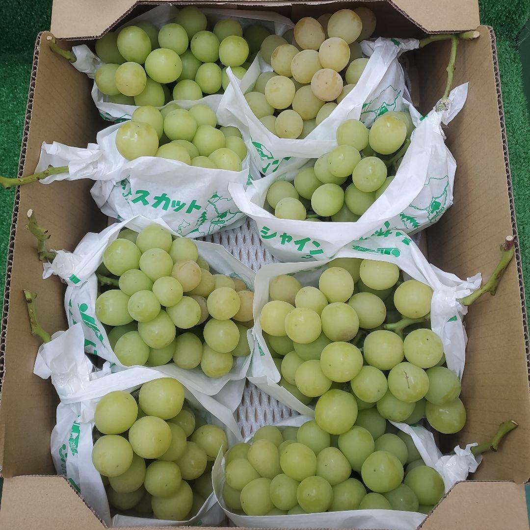3️⃣ 山梨県産 シャインマスカット８房入り 箱込み5.7キロ
