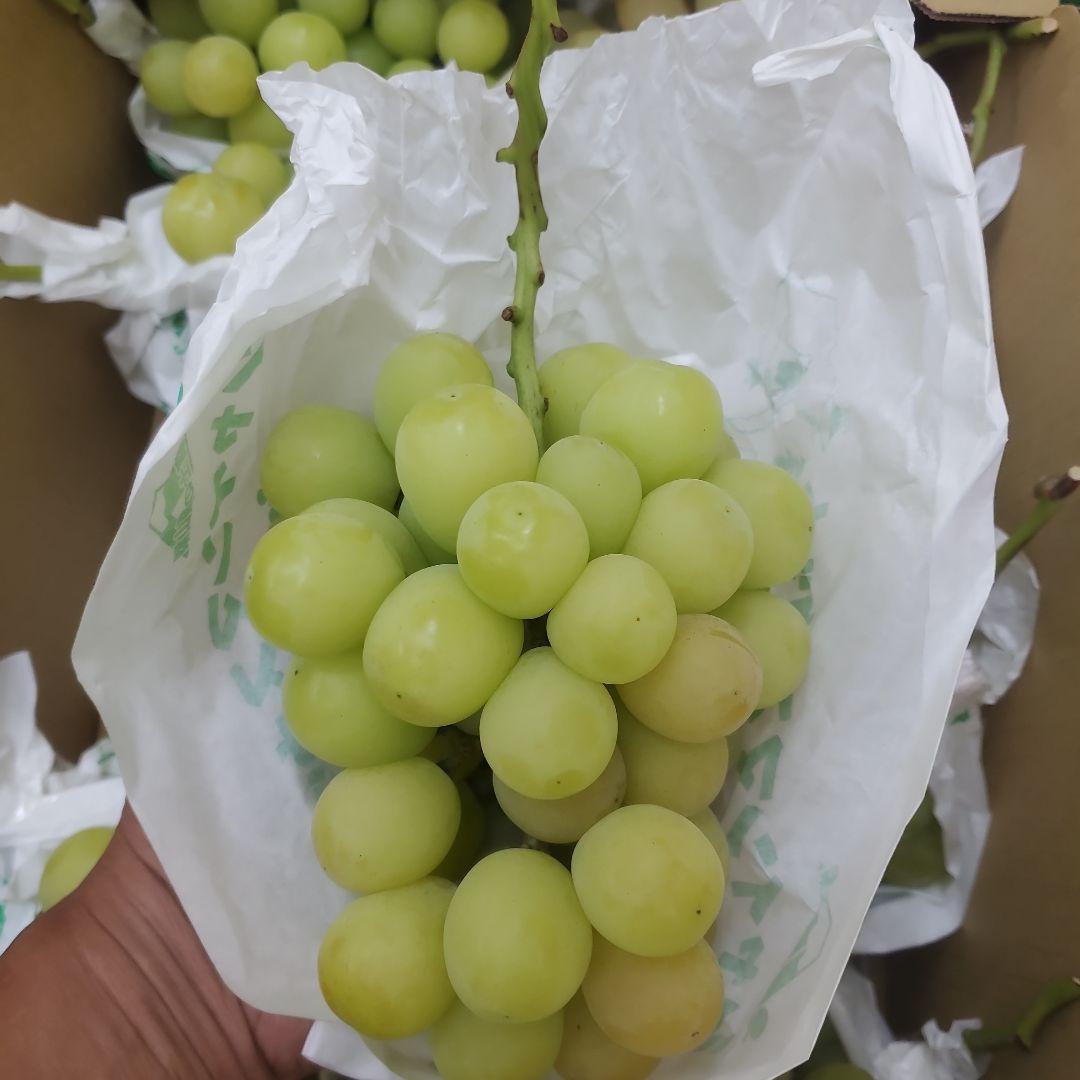 3️⃣ 山梨県産 シャインマスカット８房入り 箱込み5.7キロ