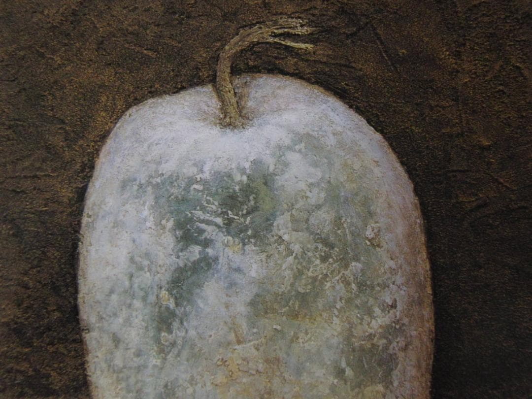 大藪雅孝、【冬瓜】、希少な額装用画集より、新品額装付