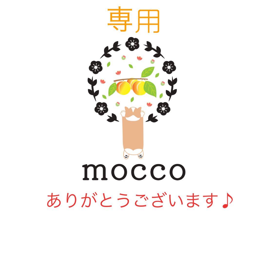 《５袋》紀州　南高梅 はちみつ梅 900グラム