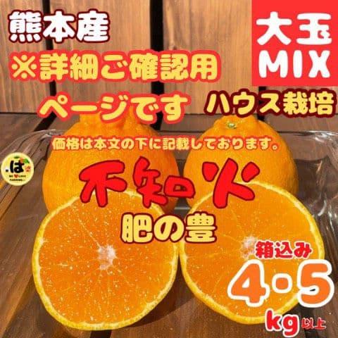 ※確認用　大玉MIX箱込み4.5kg以上【ハウス栽培　不知火　デコポン　肥の豊】
