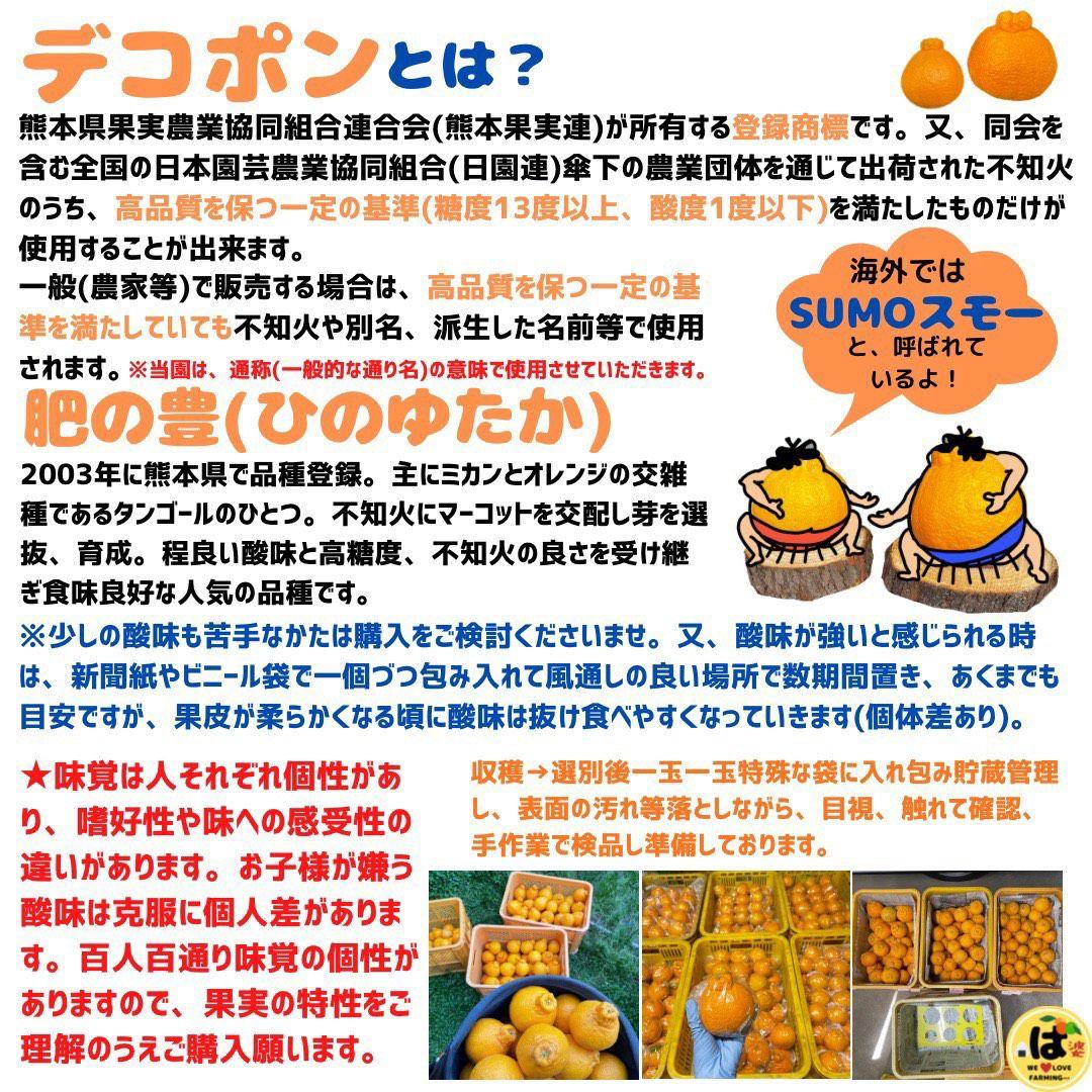 ※確認用　大玉MIX箱込み4.5kg以上【ハウス栽培　不知火　デコポン　肥の豊】