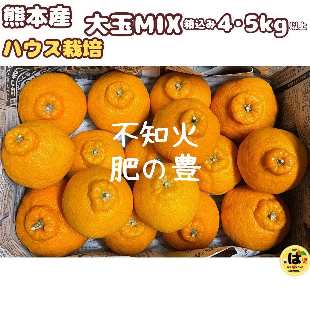 ※確認用　大玉MIX箱込み4.5kg以上【ハウス栽培　不知火　デコポン　肥の豊】