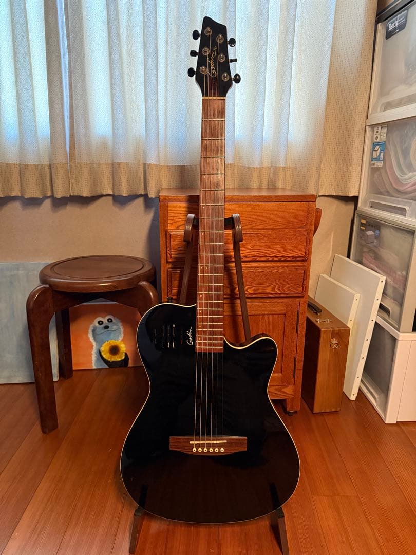 ギター Godin A6