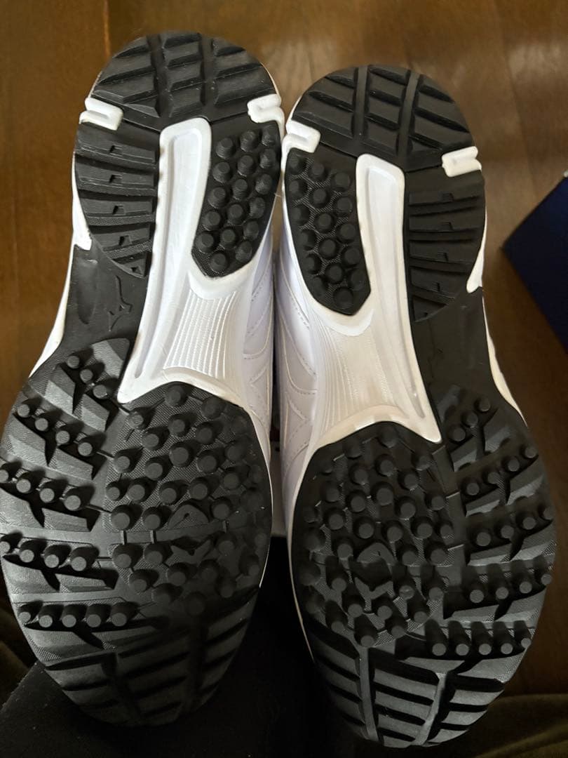 Mizuno ☆レア商品☆トレーニングシューズ ホワイト