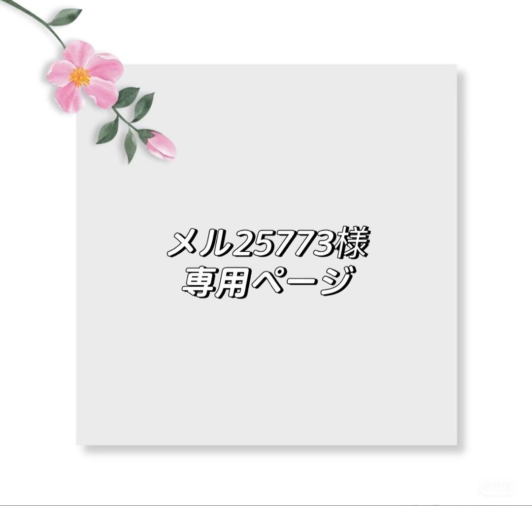 メル25773ページ
