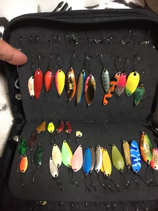 超お買い得❗️ ルアーセット ルアーケース付き