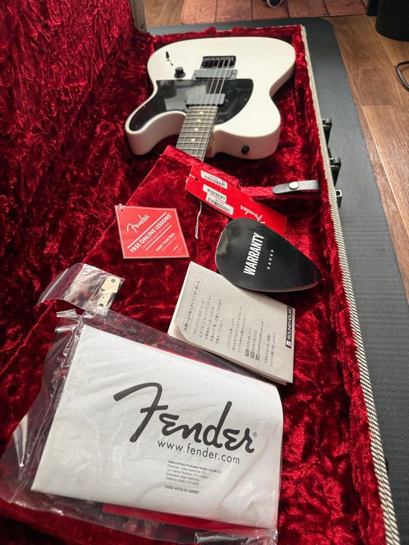 ギター Fender Telecaster jim root
