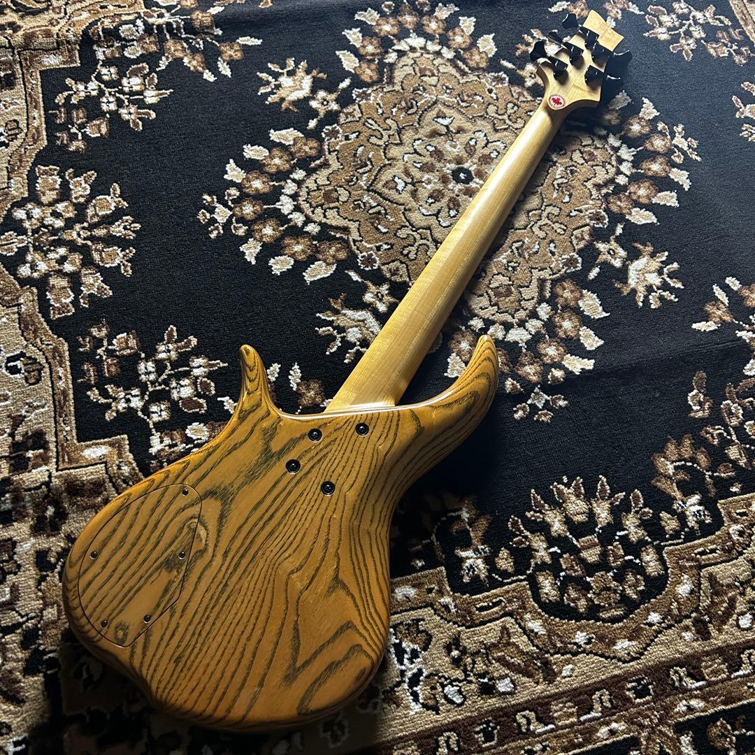 ベース F bass BN-5 buckeye burl