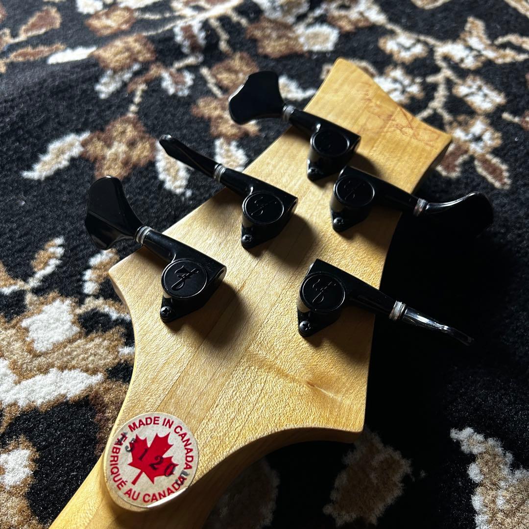 ベース F bass BN-5 buckeye burl