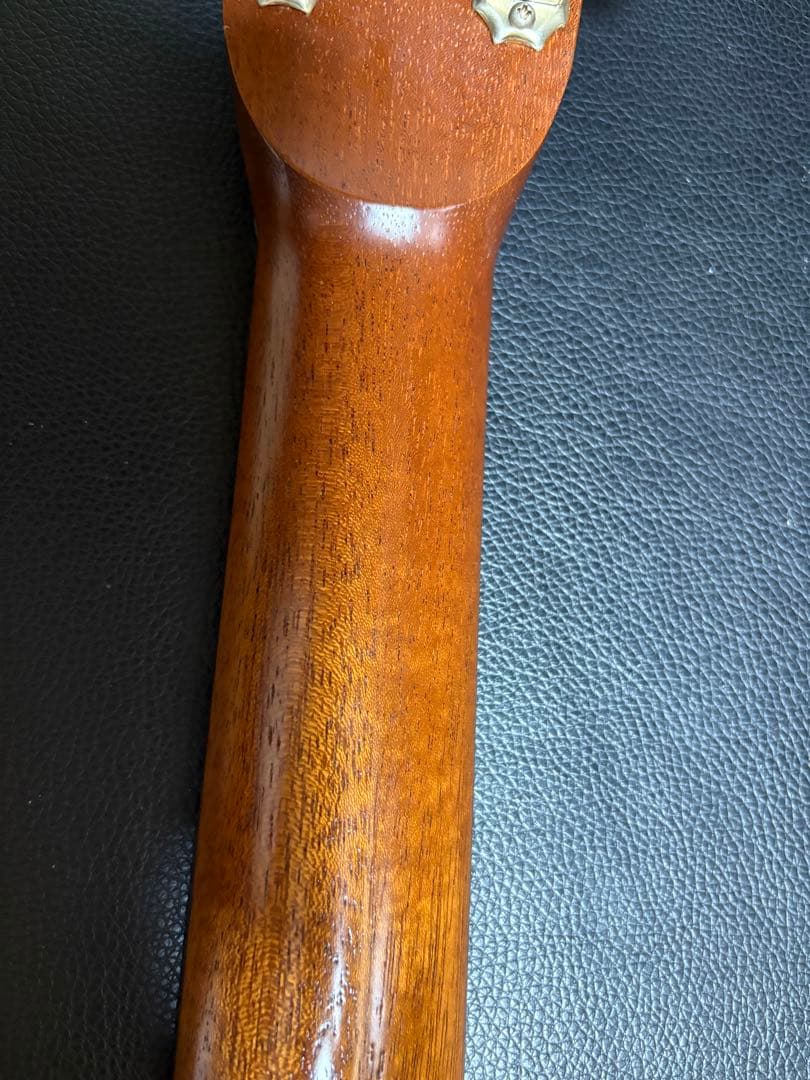 Asturias Solo Standard 国産　最終値下げ