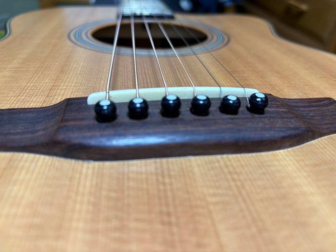 Asturias Solo Standard 国産　最終値下げ