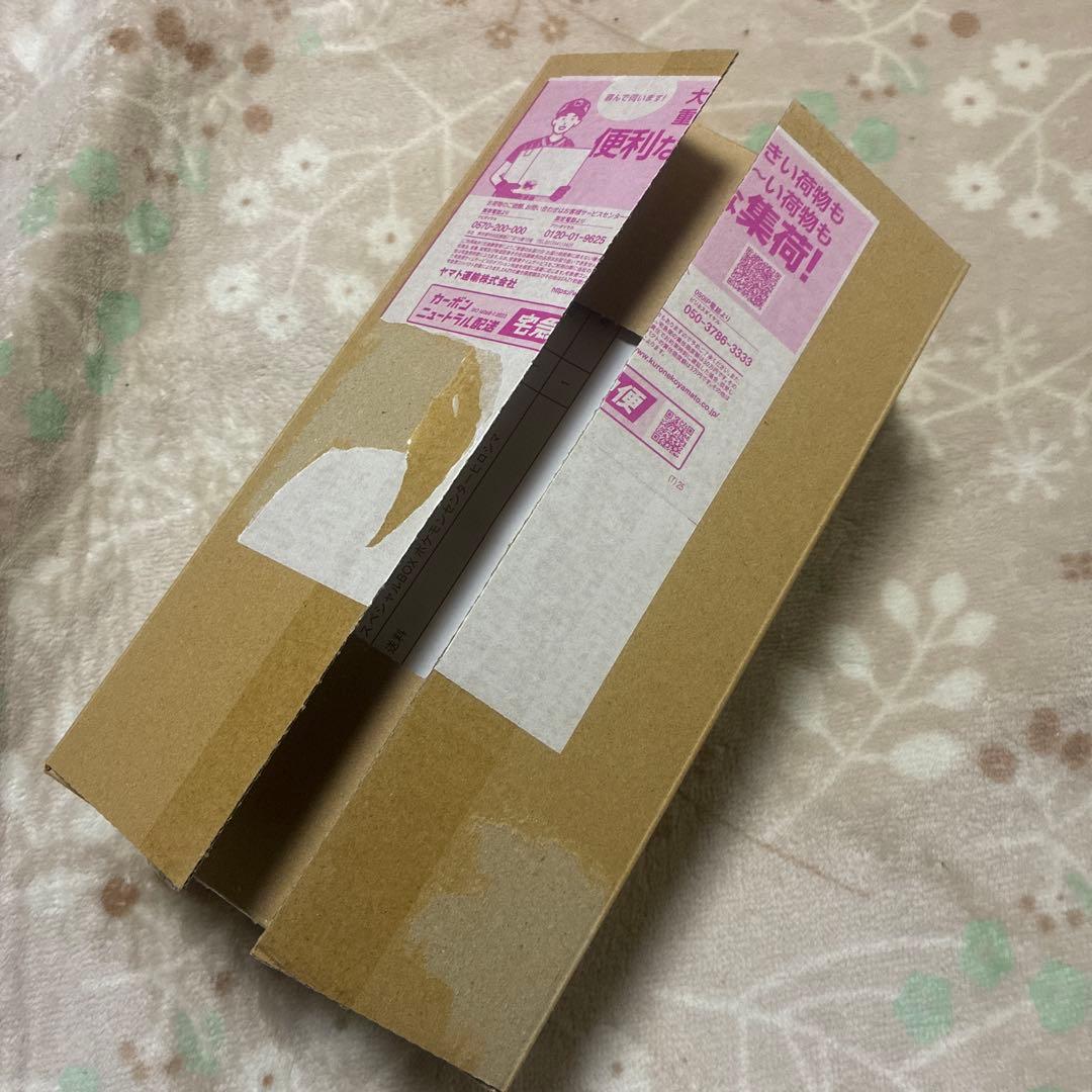 イ*ル様 【新品未開封】スペシャルBOX ポケモンセンターヒロシマ 未開封