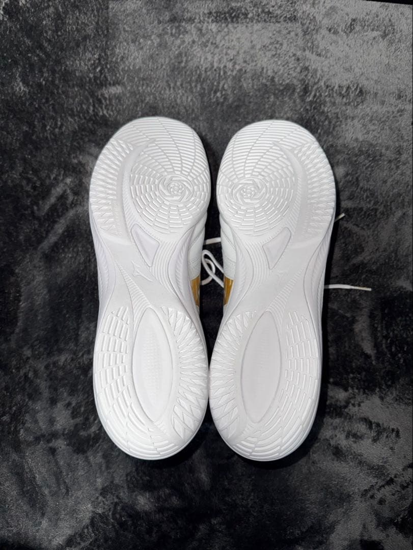 ミズノモレリアネオ