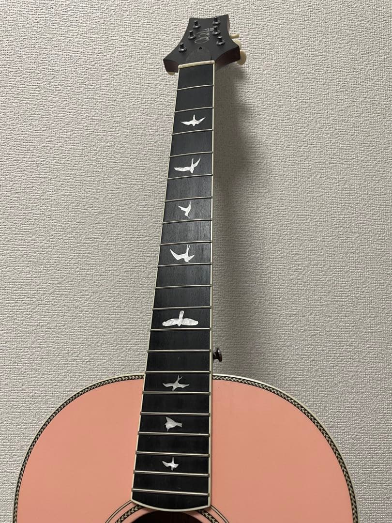 超美品！Paul Reed Smith SE Parlor Fishman