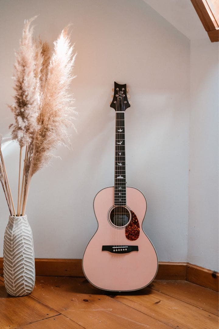 超美品！Paul Reed Smith SE Parlor Fishman