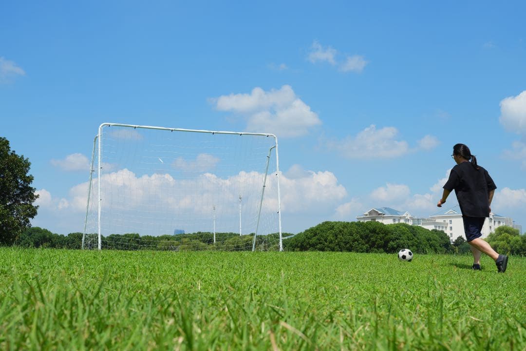 期限セール フットサルゴール  室内外兼用 公式サイズ キャリーバッグ付き