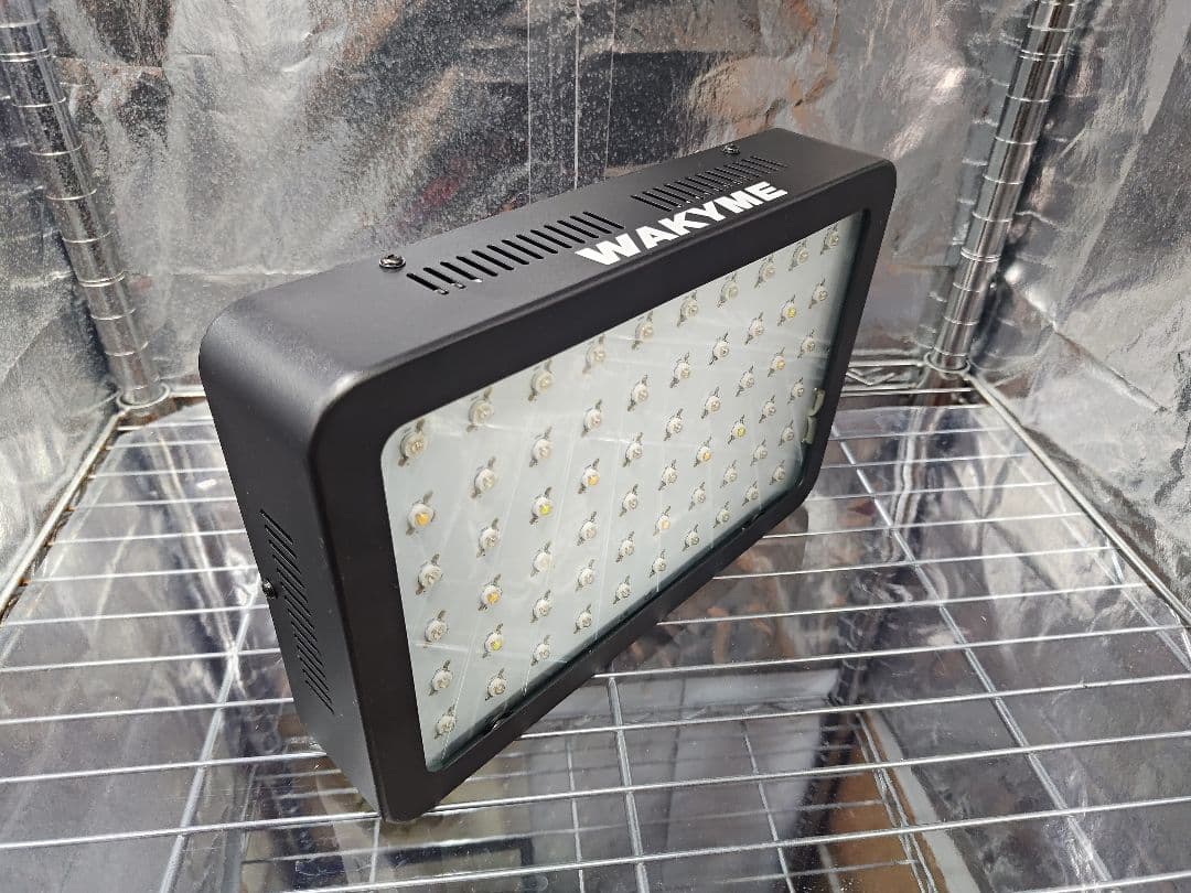 水耕栽培 セット（生体にも）