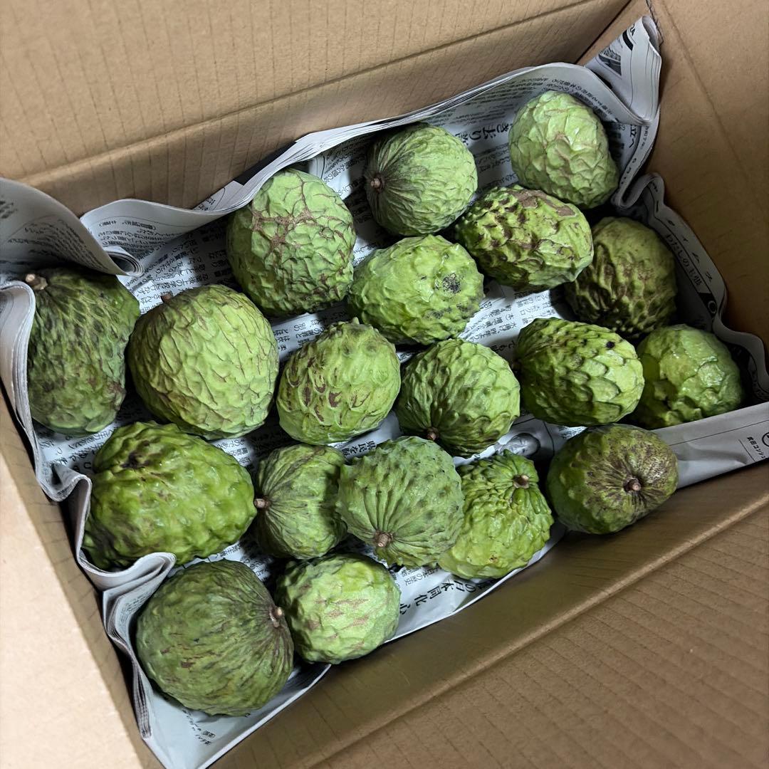 箱番号8. 訳あり規格外サイズです！１kgあたり1100円 9.5kg