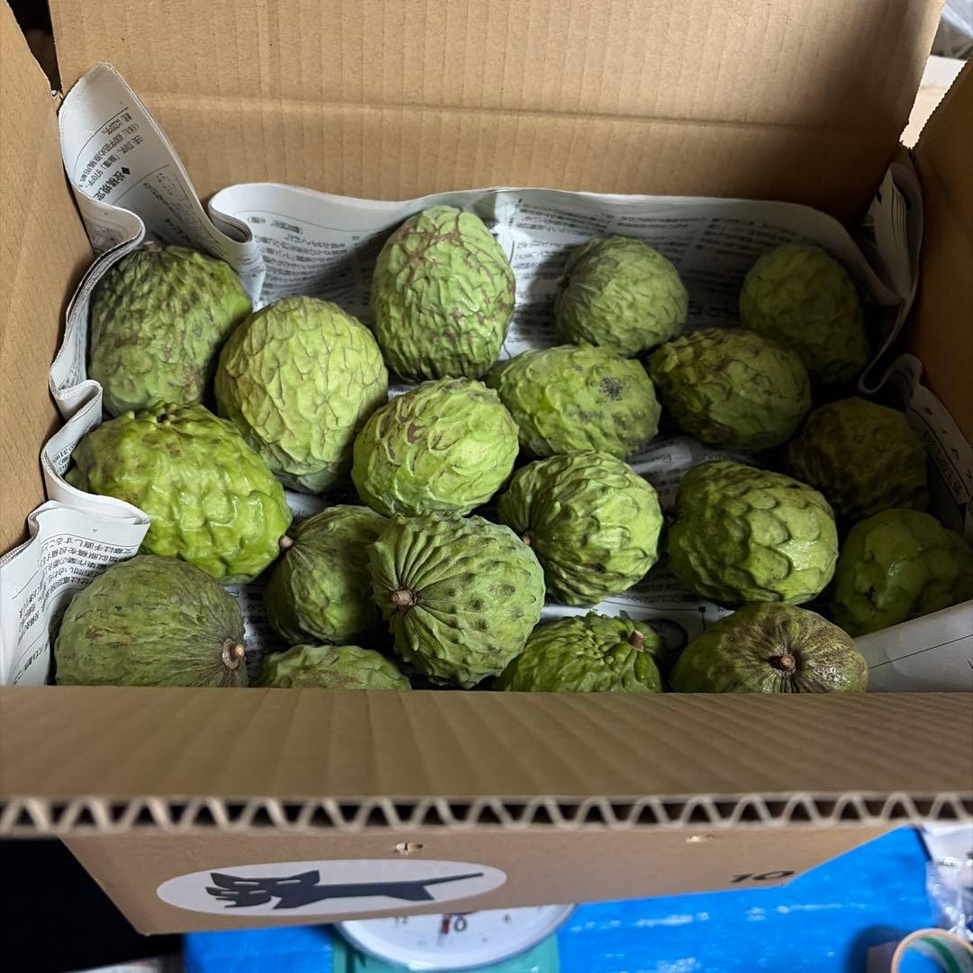 箱番号8. 訳あり規格外サイズです！１kgあたり1100円 9.5kg