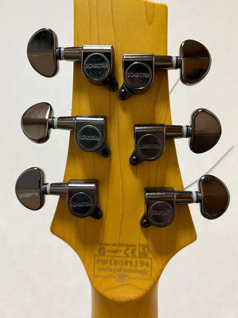 Schecter Diamond Series美品10月から出張に行くので値下げ