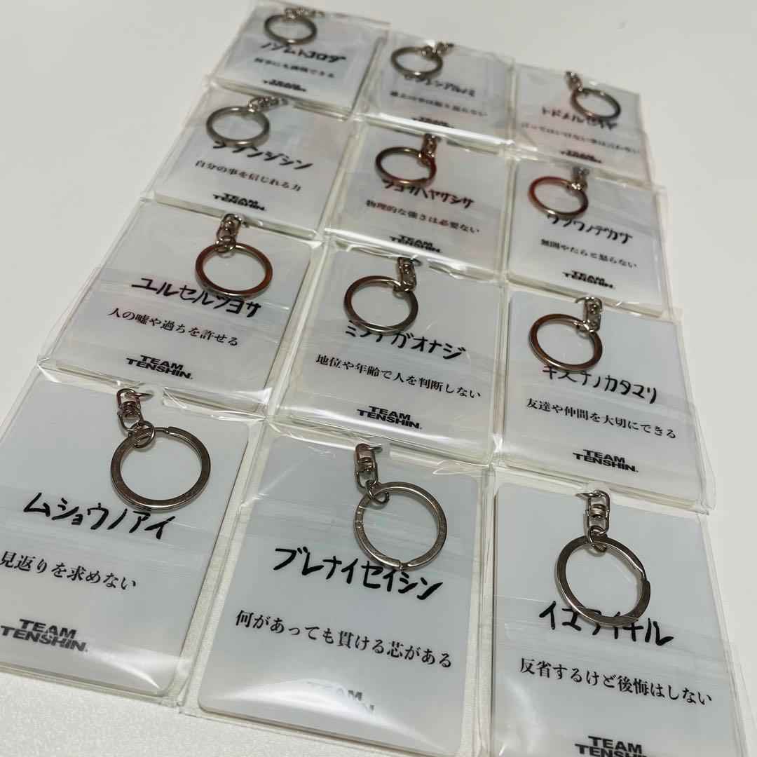 那須川天心☆かんきもアクリルキーホルダー12点セット