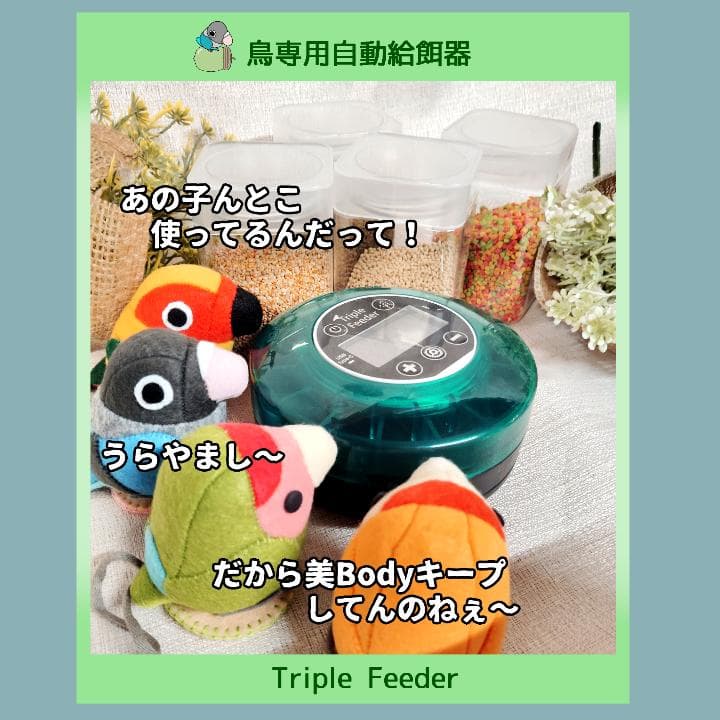 鳥専用自動給餌器（小粒用）