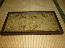 ◆極希少 美品 1930年頃 米国製◆木製卓上ピンボール サファリ