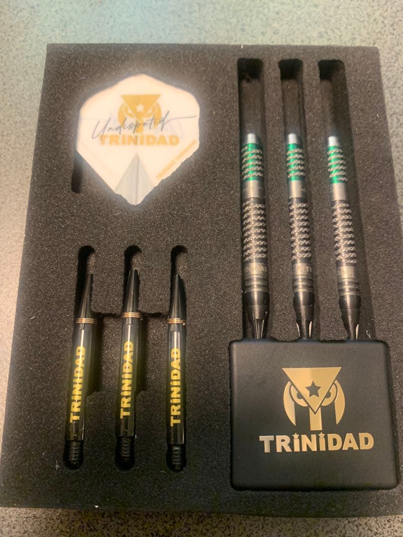 浅田斉吾 TRINIDAD RICARDO TYPE2 ダーツセット