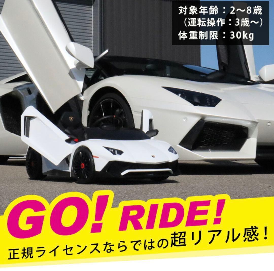 Lamborghini Aventador SV ランボルギーニ ラジコン 電動