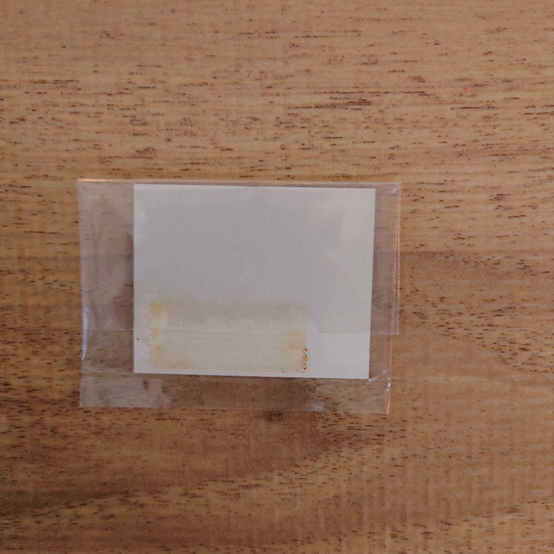 WAVE 1/100 バッシュ・ザ・ブラックナイト.箱と説明書無し