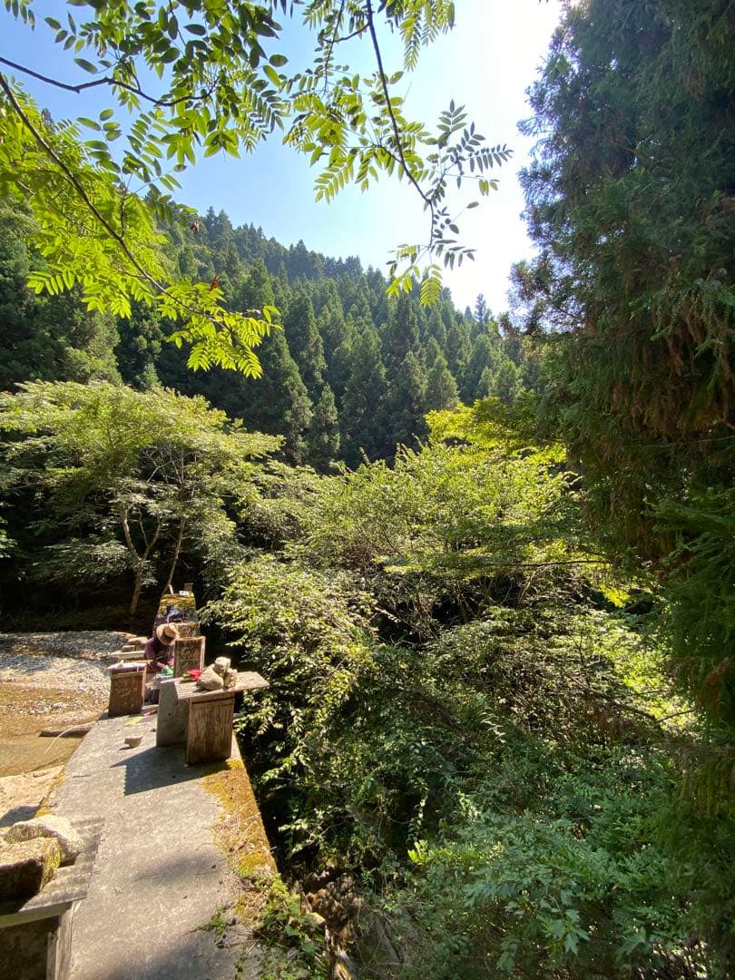 はちみつ　日本蜜蜂のハチミツ　奥山の奥と花粉入り蜂蜜