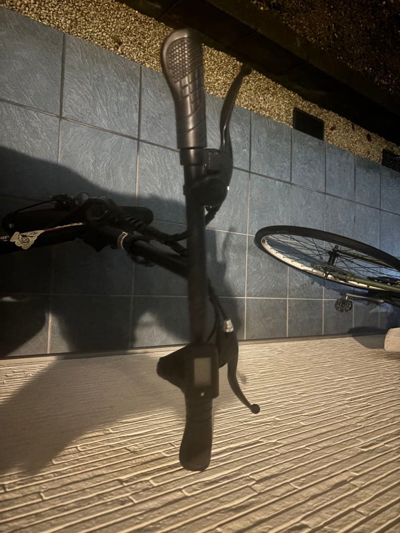 電動自転車 アシスト電動自転車