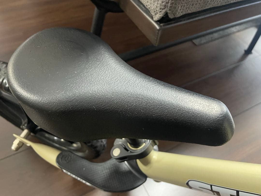 限定サファリカラー STRIDER スポーツモデル 2024 15周年記念モデル