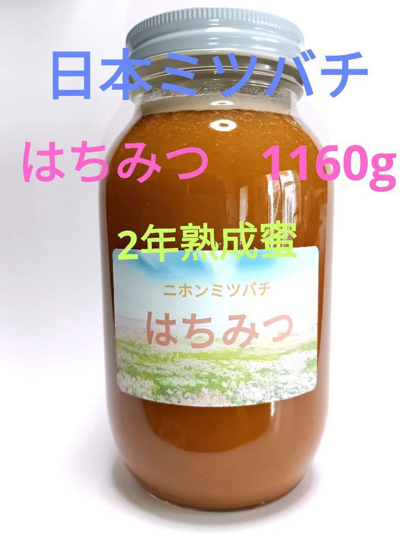 【希少！2年熟成蜜】ニホンミツバチ　日本蜜蜂　はちみつ　非加熱　1160ｇ