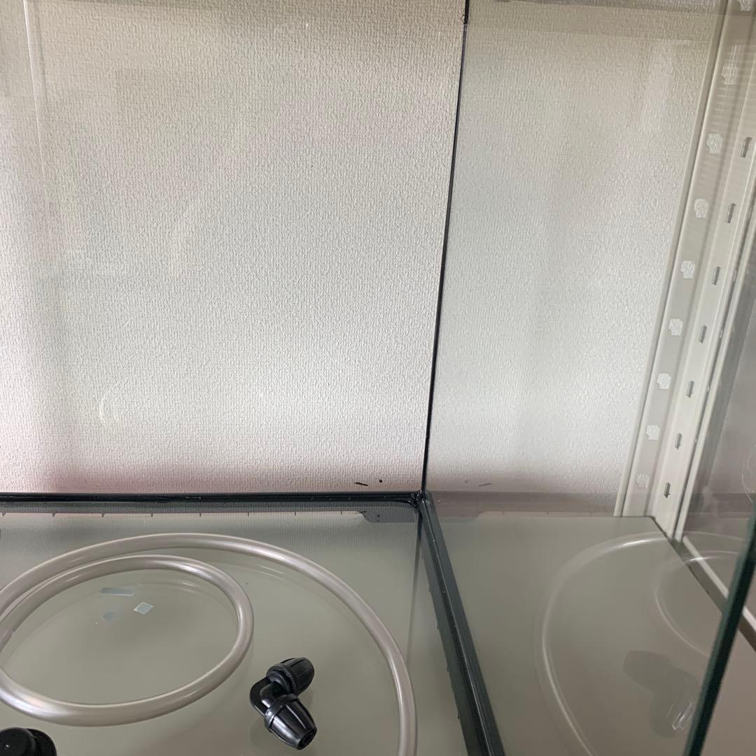 グラステラリウム　ドレイン　4545 最終出品