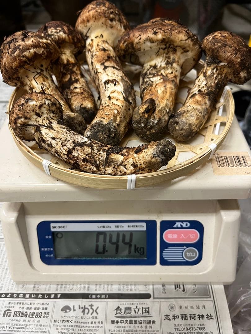 岩手県産松茸　良型