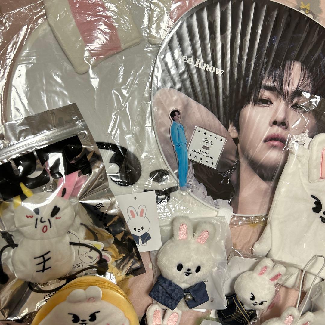 StrayKids LeeKnow Leebit リノ リービット グッズ