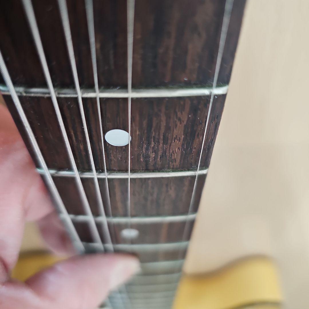 レゲエマスター Reggae Master リンディフレーリン搭載